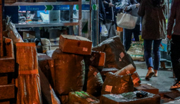 我那雙11還沒到的貨，讓即時(shí)零售“可愛”起來了