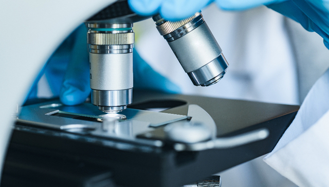 2022年度医学突破：全球首例猪心脏移植、死亡动物器官恢复功能，阿尔兹海默症新药试验成功……|回望2022①