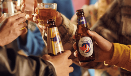 “撲空”世界杯的海倫司，是命運(yùn)的安排還是上天的注定？