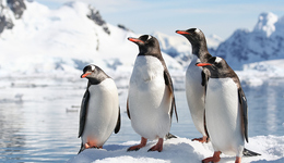 当世界似乎万劫不复，热爱我们眼前具体而脆弱的事物 | 一周新书推荐