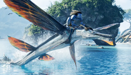 《阿凡达2》还没定局