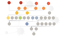 数据 | 我国南北流行的BA.5.2、BF.7在国外已被取代，再次感染概率有多大？