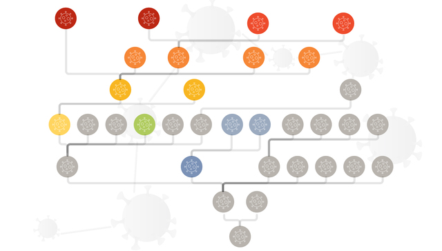 数据 | 我国南北流行的BA.5.2、BF.7在国外已被取代，再次感染概率有多大？