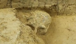 地方新聞精選 | 湖北鄖縣人3號(hào)頭骨化石已提取出土 云南見(jiàn)義勇為英模將可免費(fèi)游覽參觀