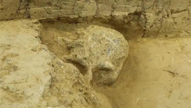 地方新闻精选 | 湖北郧县人3号头骨化石已提取出土 云南见义勇为英模将可免费游览参观