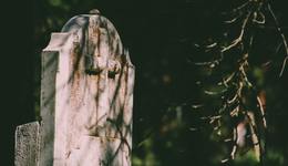 关服游戏“秽土转生”会成为潮流吗？