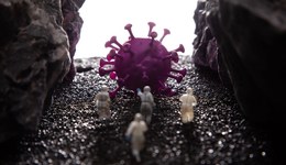 “乙類乙管”5個配套文件印發(fā)：疫情流行期間核酸檢測應(yīng)以單采單檢為主