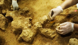 年度影像特辑④ 丨2022年国内考古纪实，从泥土中捧起时光