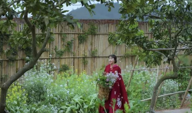 闪电快讯丨李子柒和微念和解  持股增至99%