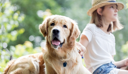 私寵定制溢價四倍，誰在拿“鏟屎官”的心意賺錢？