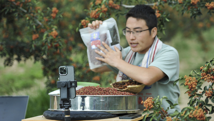 付伟：数字红利时代的小镇创业家