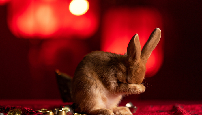 第一波兔年贺岁广告已经来袭