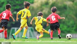 13部門規(guī)范非學(xué)科類校外培訓(xùn)：一次性收費不得超過5000元