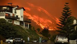 当气候崩溃，一切都崩溃 | 2022年全球环境事件盘点