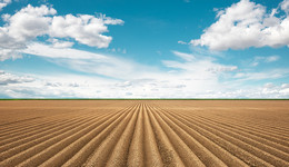 不到两年亏掉3.6亿，博晖创新赶在年底卖地“回血”