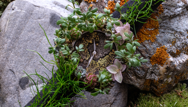 成立两百年后，小众瑞表品牌亨利慕时把第一家直营专卖店开在了香港