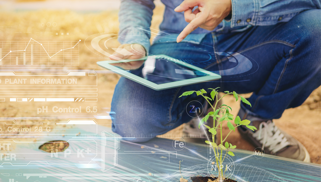 2022年度农业科技突破：中国空间站首次培育太空种子，像割韭菜一样的多年生稻，“植物工厂”助力卡塔尔世界杯