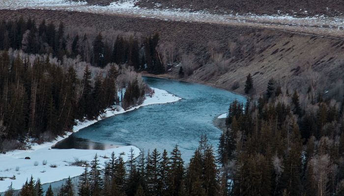 20位投资人谈论2023：信心、周期、风口，VC过河入林 | 界面预言家㉕