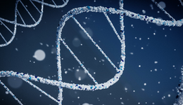 再生醫(yī)學：干細胞、材料、組織工程的黃金三角