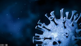 杭州在入境人員中發(fā)現(xiàn)XBB毒株，疾控中心：致病力沒有明顯區(qū)別