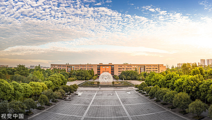 职业教育,高等教育