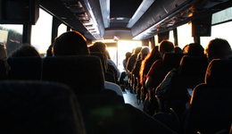 宇通客车，老树在发新芽？