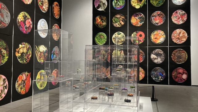 艺术与气候环境：“合成生态”能否走向未来？