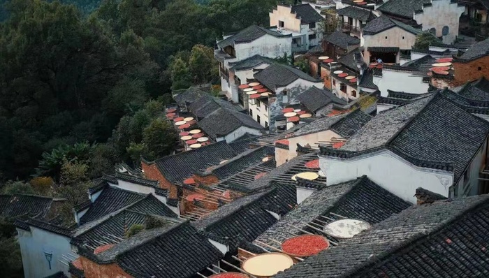 专访青普人文度假联合创始人杨雪山：以文促旅，做乡土文化的链接与传播