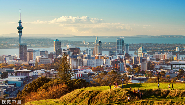 没有课本和作业，羊背上的新西兰会成为反卷乌托邦吗？| 小众留学地图④