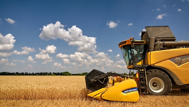 食品价格,粮食,大米,俄罗斯,乌克兰