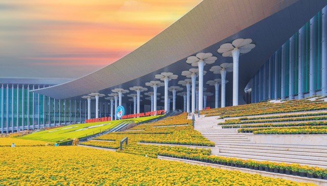 上海，进博会，影响力，企业,报告