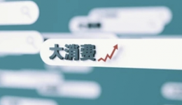 大消费2022：降本增效，报团取暖