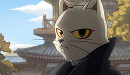 国产动画2022：154部作品谁最火，“爱优腾B”谁最高产