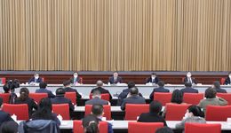 舉全市之力把浦東這面旗幟舉得更高，陳吉寧參加浦東新區(qū)代表團(tuán)審議，提到這些關(guān)鍵詞