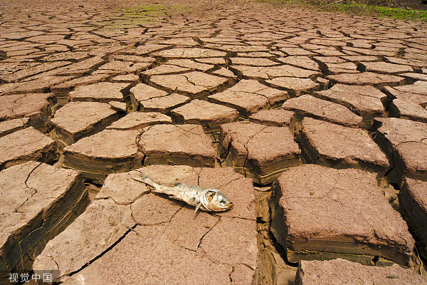 应急管理部发布2022年全国十大自然灾害