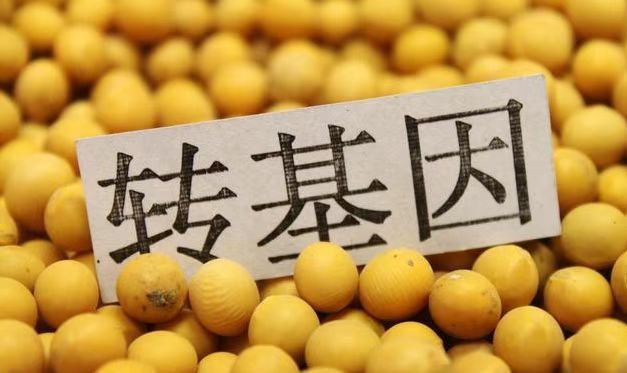 农业部发布最新转基因生物安全证书批准清单，隆平高科、普莱柯等上市公司项目获批