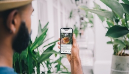 “人造肉第一股”走向亏损，走向餐桌仍是持久战