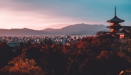 外国游客锐减99%，京都面临破产危机，日本旅游业这三年有多难熬？