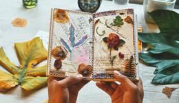 2023年，這些社科歷史藝術(shù)書值得我們期待