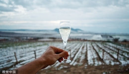 葡萄酒市场寒冬未散，张裕A“高价”拿下连年亏损的冰酒酒庄为哪般？