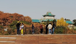 多所大學恢復對校友開放，憑校友卡等經核驗可進入校園