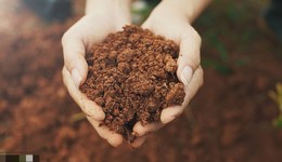 自然資源部：“十四五”全國新增建設(shè)用地將壓減300萬畝，控制在2950萬畝