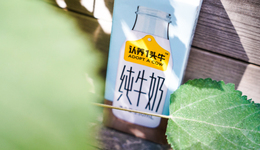 48问认养一头牛，真“传销”还是假“网红”？