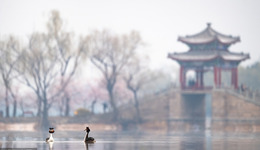 年過完了是立春