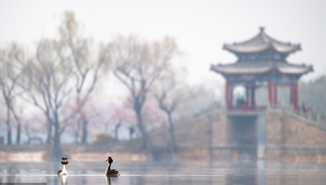 年过完了是立春