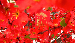 春節(jié)營銷，互聯(lián)網(wǎng)放棄“撒幣”