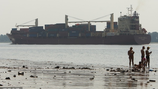 全球船舶脱碳减排措施生效，船厂、船东和运营商们应对新规则