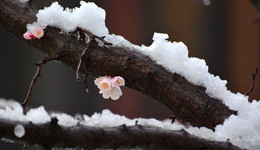 世界再怎么遼闊，生活本身實(shí)在只有車(chē)廂般大小