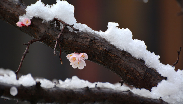世界再怎么辽阔，生活本身实在只有车厢般大小