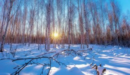 地方新聞精選 | 漠河54年以來再現(xiàn)-50℃極寒天氣 山東132家國有A級景區(qū)免首道門票